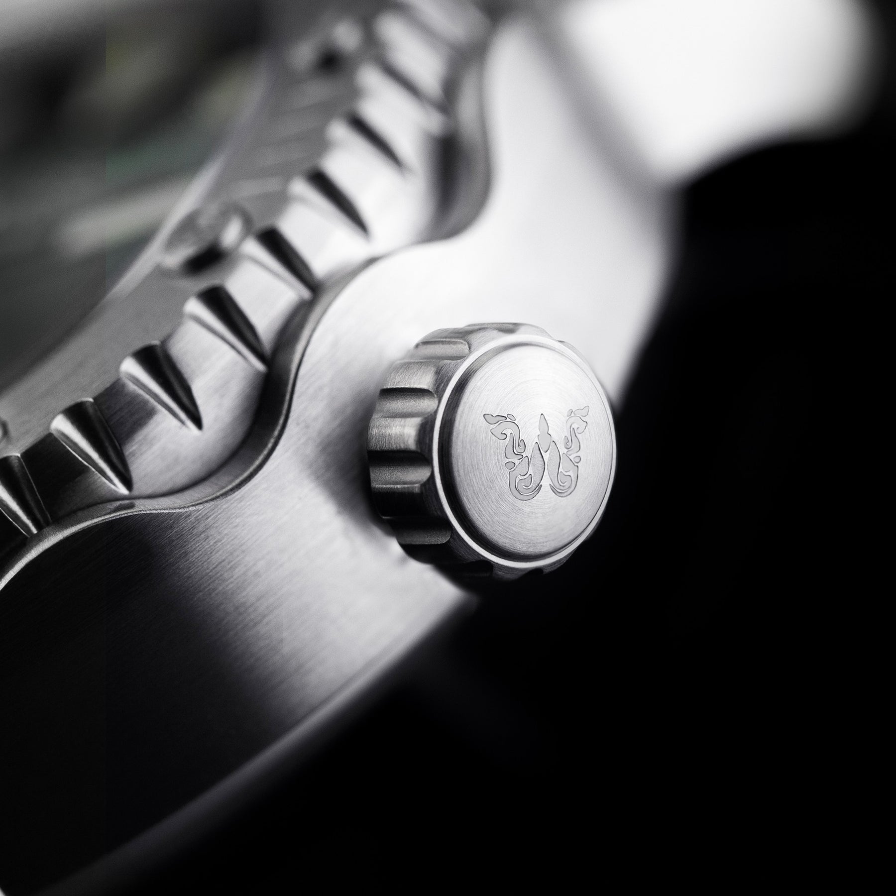 DIVING DS311 Gen 2 – WISE